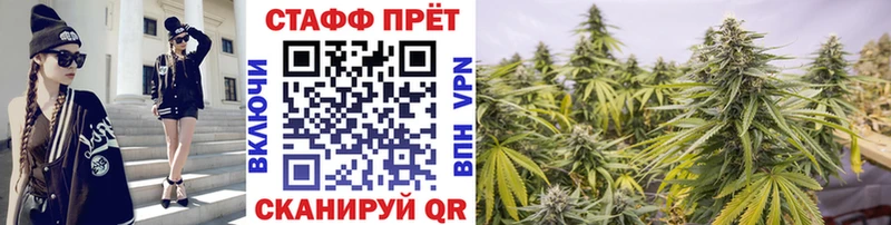 Где можно купить наркотики Удачный Псилоцибиновые грибы Меф АМФЕТАМИН ГАШИШ А ПВП