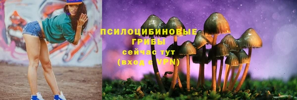 mix Алексин