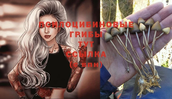 шишки Протвино