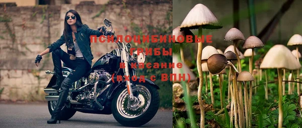 MESCALINE Алзамай